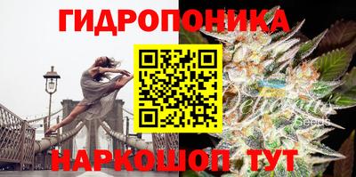 apvp Кинель