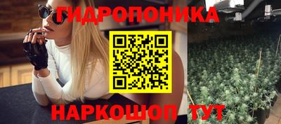 apvp Кинель