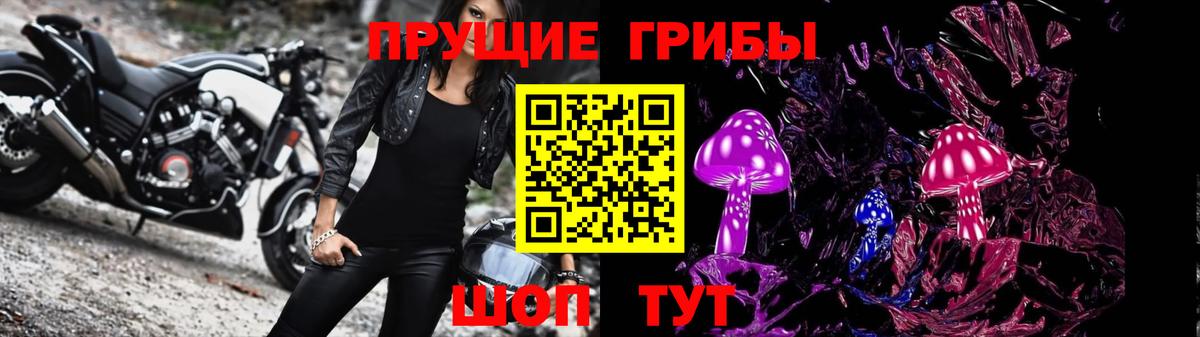 Псилоцибиновые грибы мицелий  Галлюциногенные грибы Magic Shrooms  где купить наркотик  Изобильный  Вход с VPN 